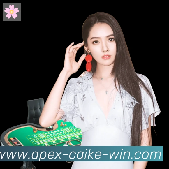 彩客网官网荣誉